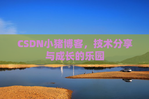 CSDN小猪博客，技术分享与成长的乐园